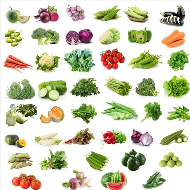 45 Varieties of Fruit and Vegetable Seeds